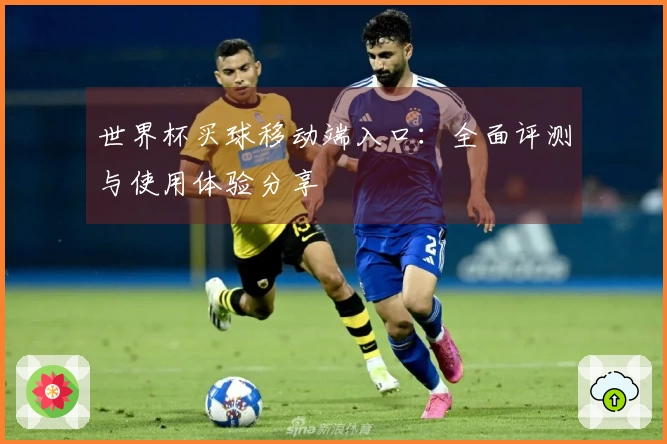 世界杯买球移动端入口：全面评测与使用体验分享