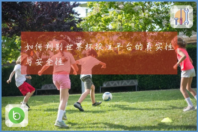如何判别世界杯投注平台的真实性与安全性