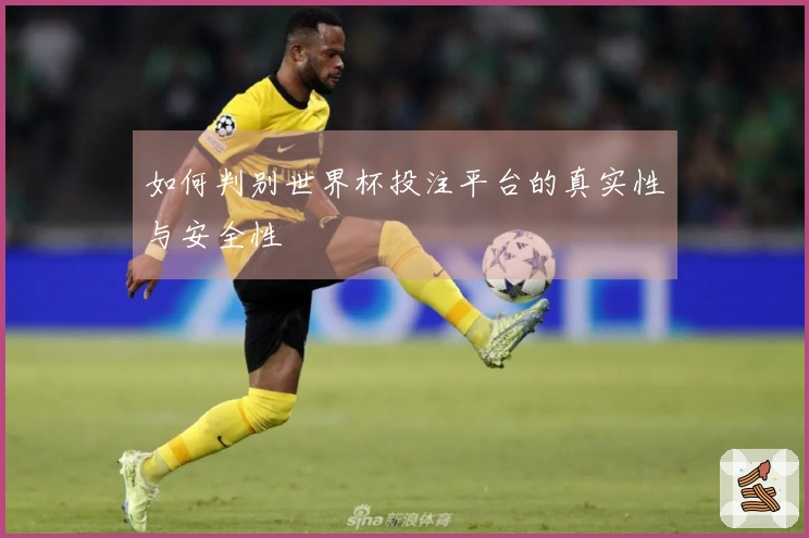 如何判别世界杯投注平台的真实性与安全性