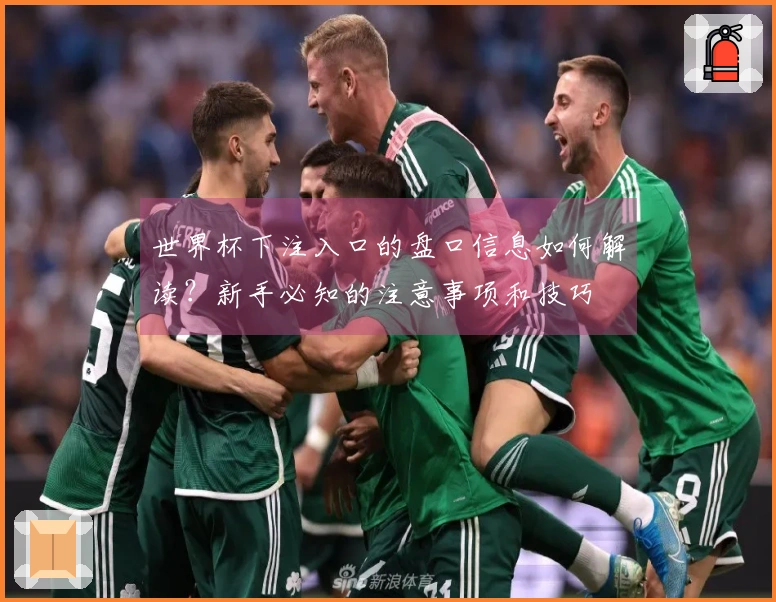 世界杯下注入口的盘口信息如何解读？新手必知的注意事项和技巧