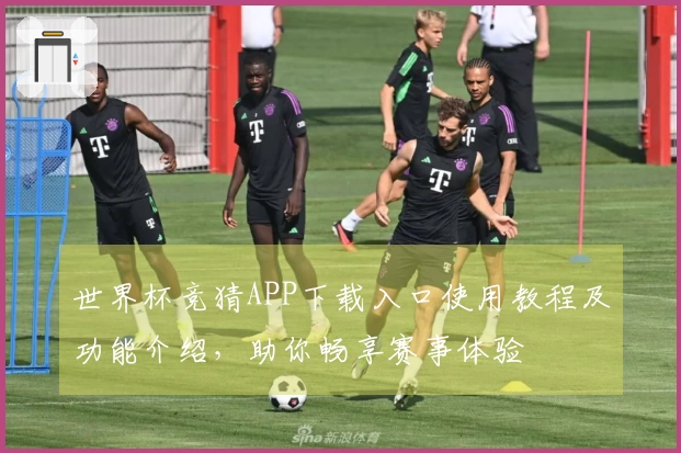 世界杯竞猜APP下载入口使用教程及功能介绍，助你畅享赛事体验