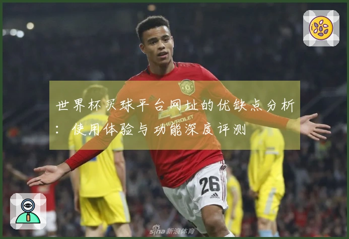 世界杯买球平台网址的优缺点分析：使用体验与功能深度评测