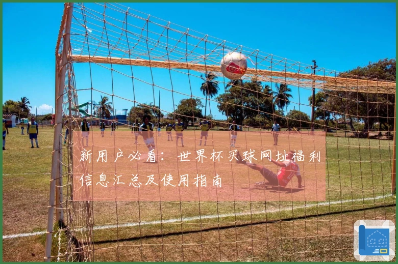 新用户必看：世界杯买球网址福利信息汇总及使用指南