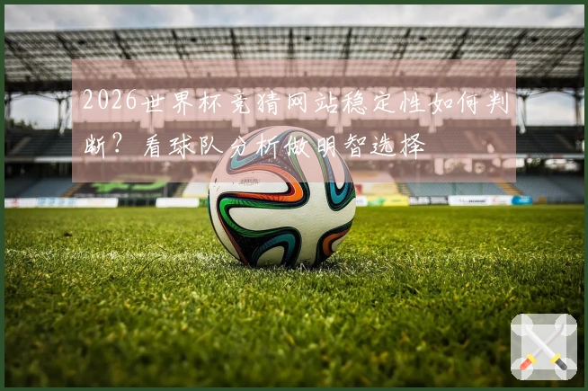 2026世界杯竞猜网站稳定性如何判断？看球队分析做明智选择