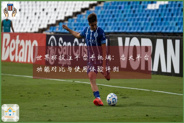世界杯投注平台手机端：各大平台功能对比与使用体验评测