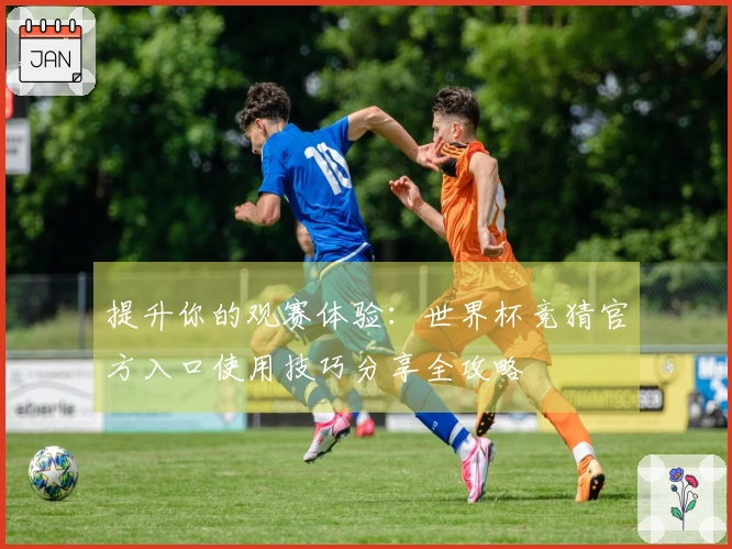 提升你的观赛体验：世界杯竞猜官方入口使用技巧分享全攻略