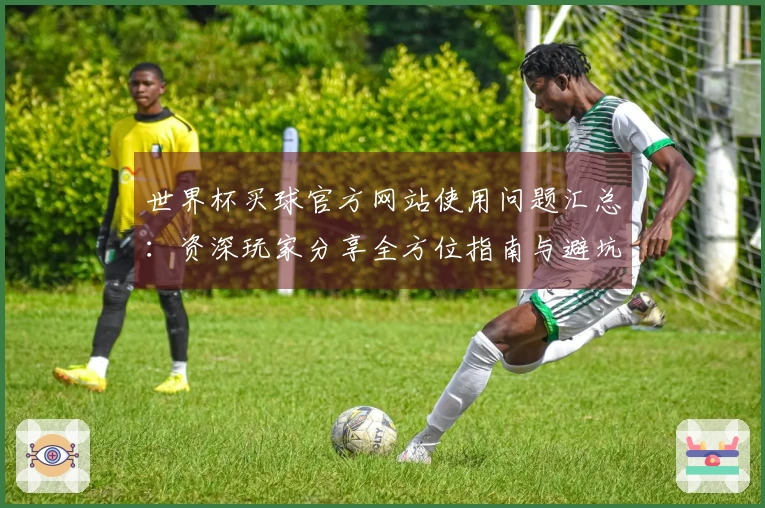 世界杯买球官方网站使用问题汇总：资深玩家分享全方位指南与避坑经验