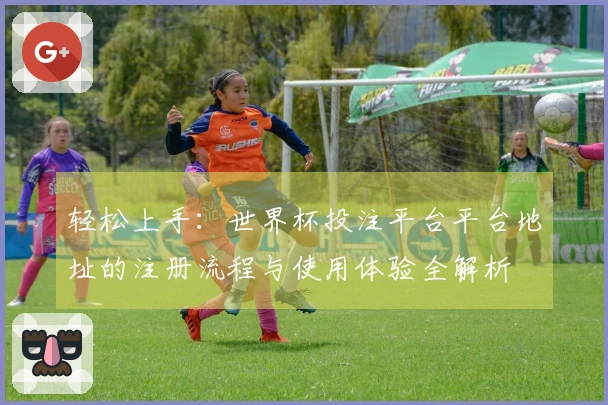 轻松上手：世界杯投注平台平台地址的注册流程与使用体验全解析