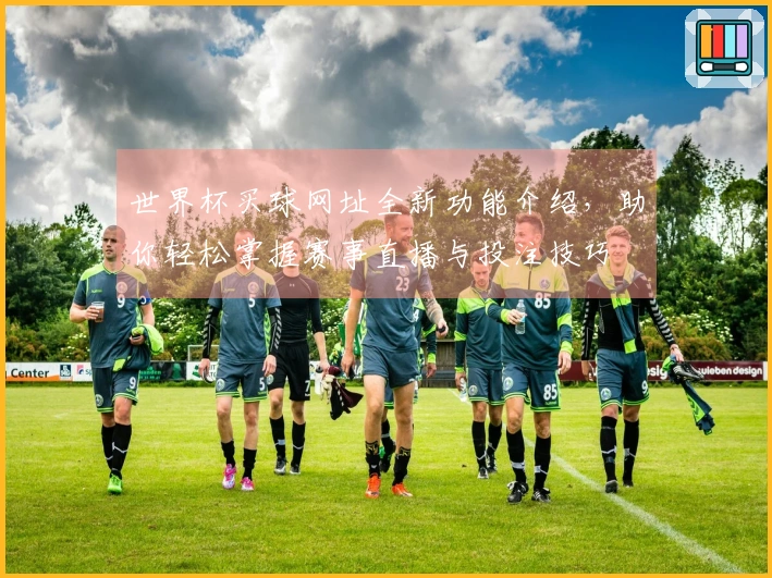 世界杯买球网址全新功能介绍，助你轻松掌握赛事直播与投注技巧