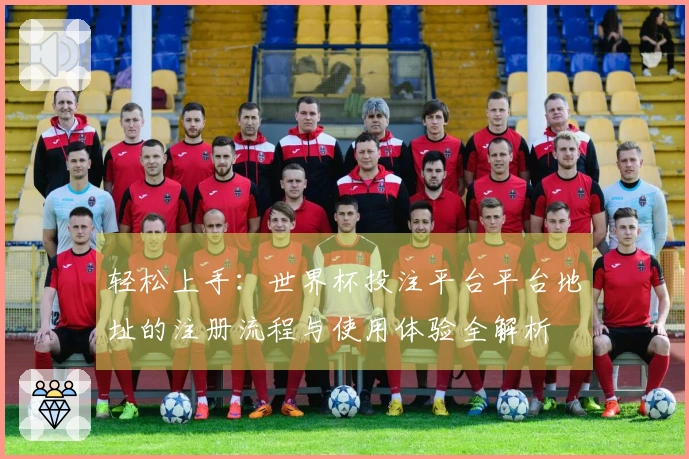 轻松上手：世界杯投注平台平台地址的注册流程与使用体验全解析