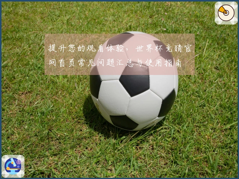 提升您的观看体验，世界杯竞猜官网首页常见问题汇总与使用指南